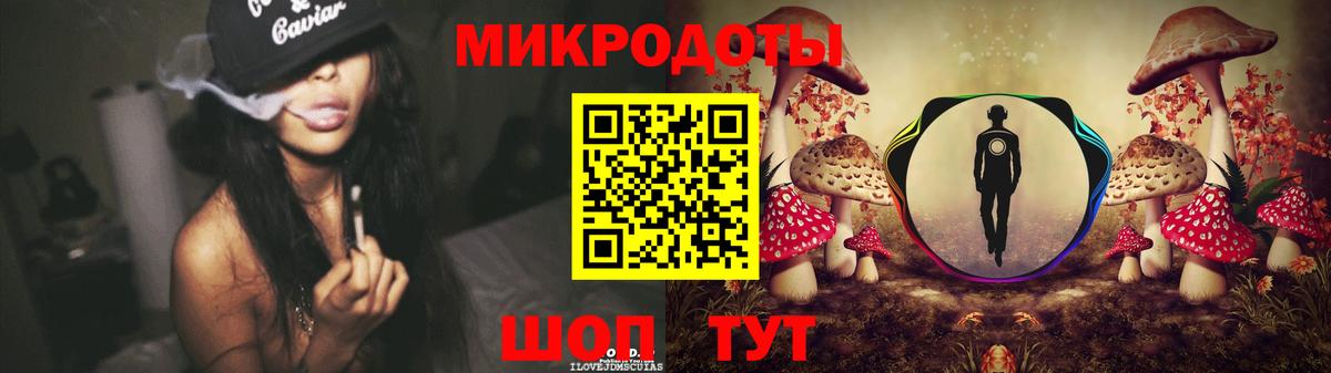 Псилоцибиновые грибы прущие грибы  Вход с VPN  Заволжье 